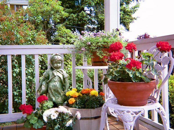 Garden Containers, Flower Pots And Planters